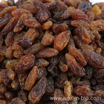 Jumbo Size Seedless Red Sultana Raisin